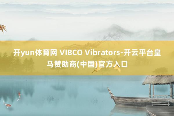 开yun体育网 VIBCO Vibrators-开云平台皇马赞助商(中国)官方入口