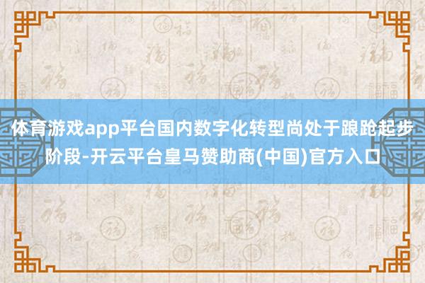 体育游戏app平台国内数字化转型尚处于踉跄起步阶段-开云平台皇马赞助商(中国)官方入口