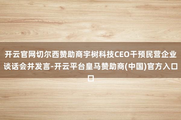 开云官网切尔西赞助商宇树科技CEO干预民营企业谈话会并发言-开云平台皇马赞助商(中国)官方入口