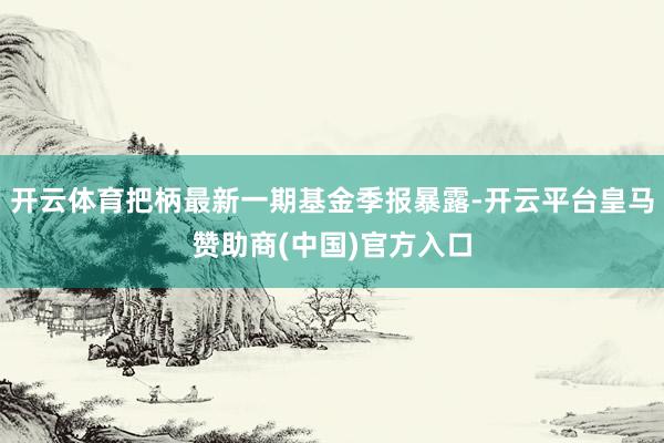 开云体育把柄最新一期基金季报暴露-开云平台皇马赞助商(中国)官方入口
