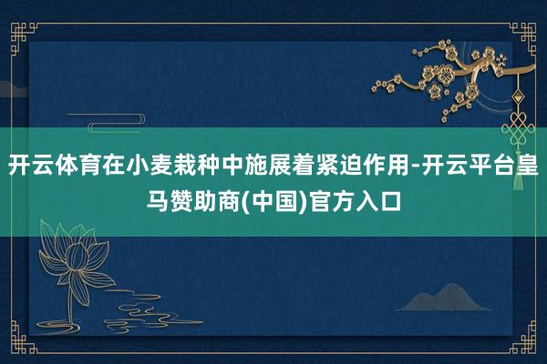 开云体育在小麦栽种中施展着紧迫作用-开云平台皇马赞助商(中国)官方入口