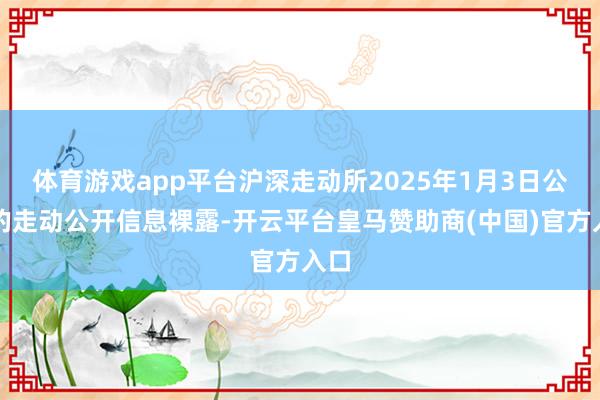 体育游戏app平台沪深走动所2025年1月3日公布的走动公开信息裸露-开云平台皇马赞助商(中国)官方入口